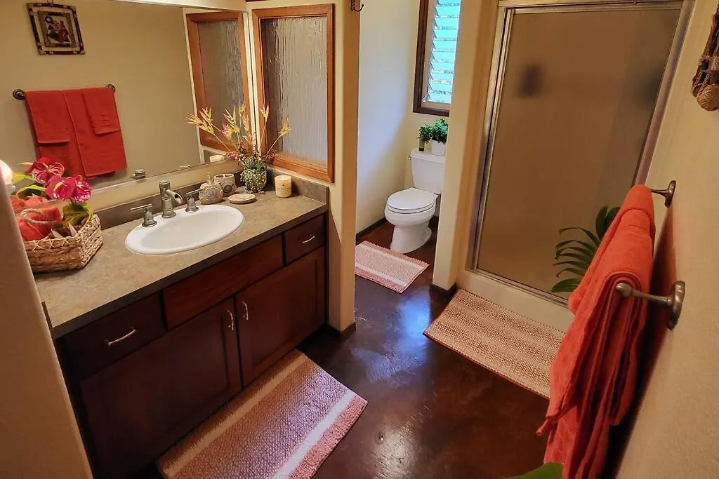 Unique Lava House By Steaming Crater Villa Pahoa 0*,  United States