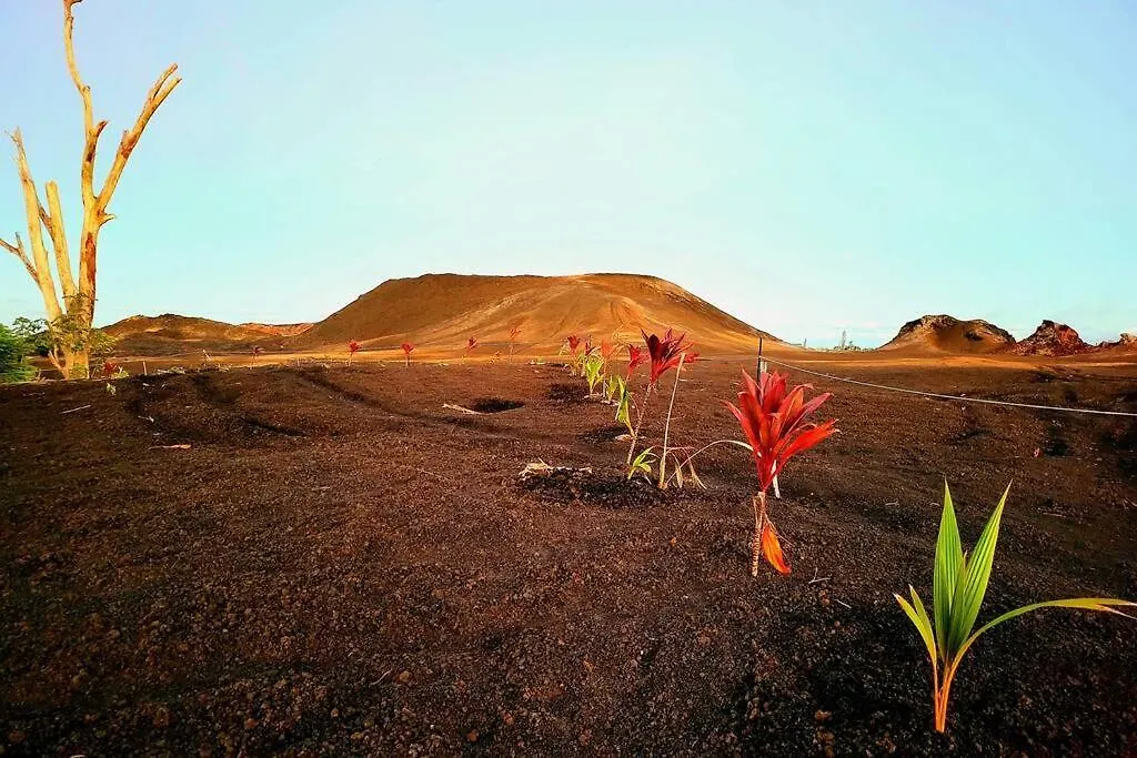 Holiday home Unique Lava House By Steaming Crater Villa Pahoa