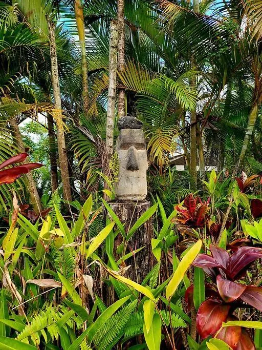 Unique Lava House By Steaming Crater Villa Pahoa