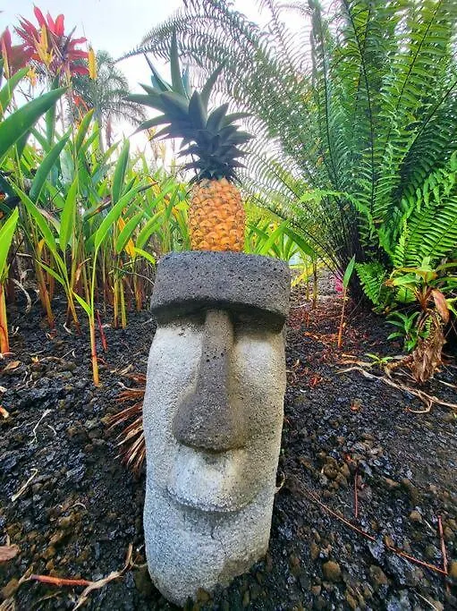 Unique Lava House By Steaming Crater Villa Pahoa Holiday home
