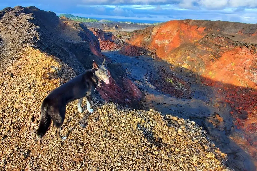 Dom wakacyjny Willa Unique Lava House By Steaming Crater Pahoa