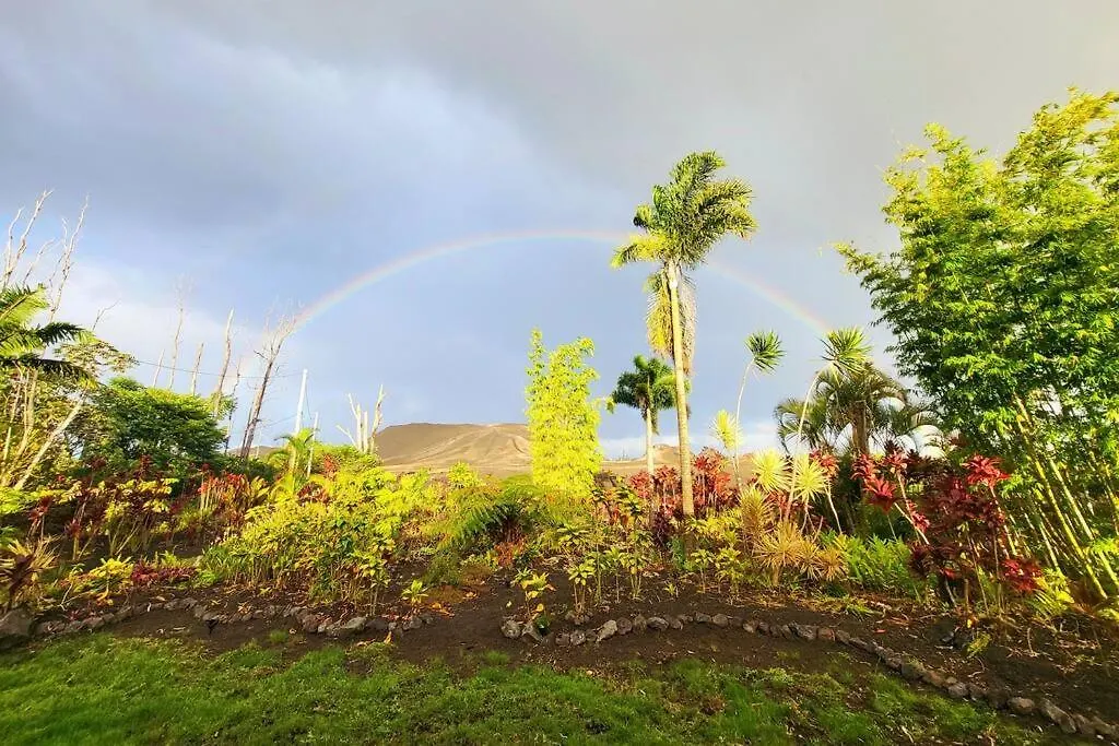Willa Unique Lava House By Steaming Crater Pahoa Dom wakacyjny